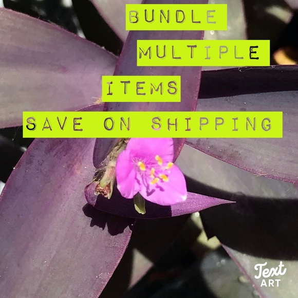 A BUNDLE = 2 or more items - Picture 10 of 16